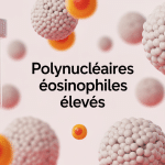 illustration polynucléaires éosinophiles élevés prise de sang