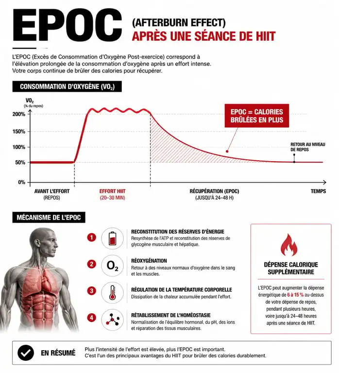 Schéma explicatif de l'effet Afterburn (EPOC) et perte de poids avec le HIIT