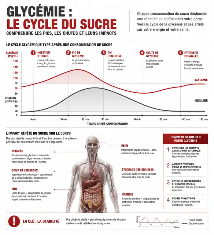 Infographie sur les effets du sucre sur la santé et le cycle de la glycémie pour une désintoxication du sucre réussie