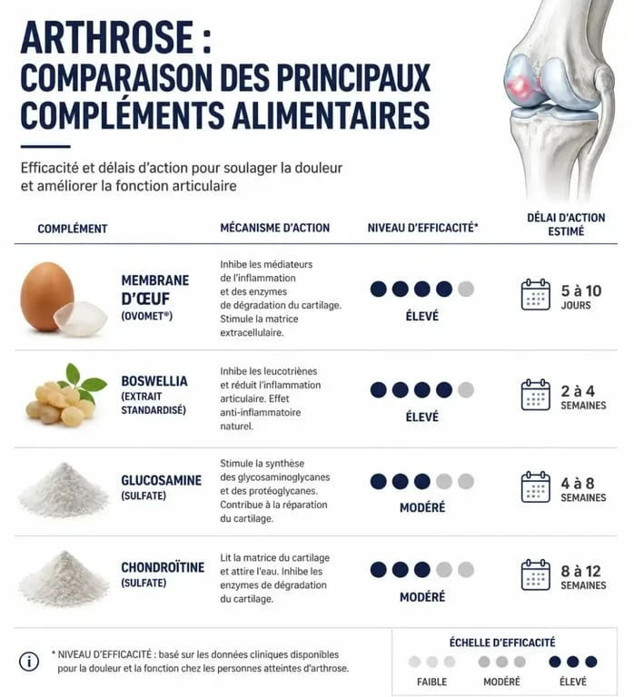 Infographie comparative des compléments alimentaires pour l'arthrose : efficacité et délais d'action des actifs naturels.