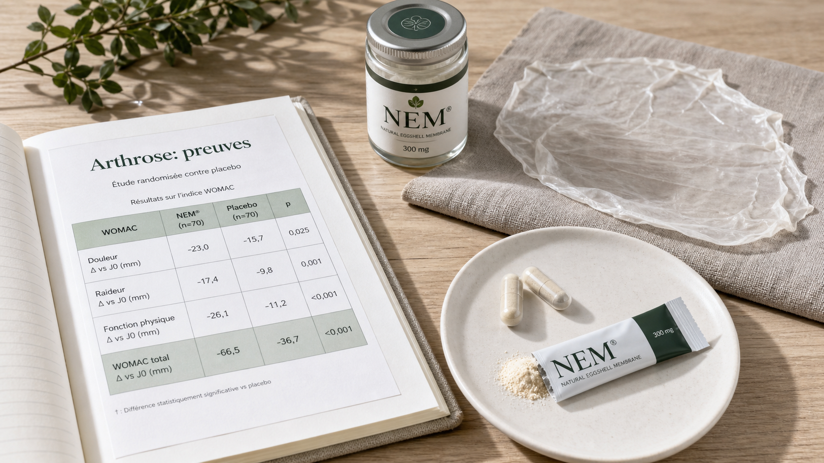 Compléments arthrose : preuves et gélules NEM, WOMAC