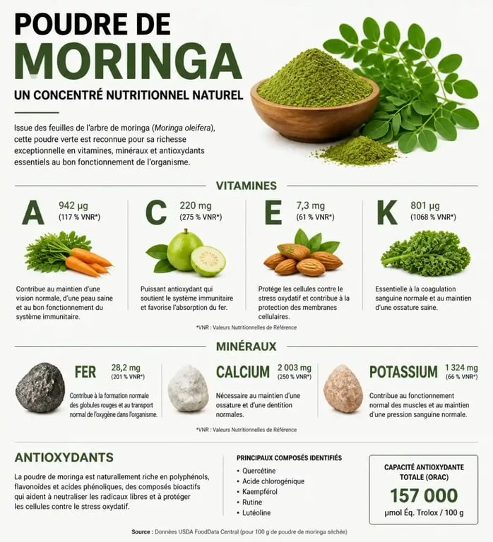 Infographie des bienfaits nutritionnels et vitamines de la poudre de moringa