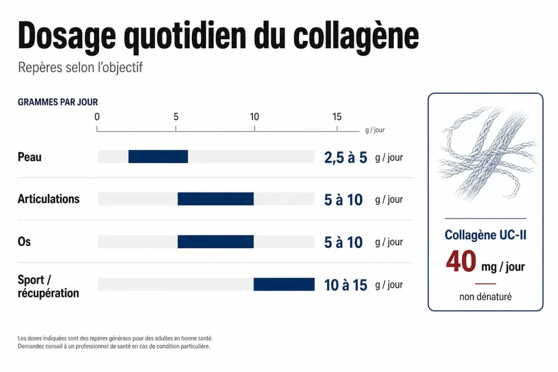 Combien de collagene par jour : infographie des doses quotidiennes selon la peau, les articulations et le sport